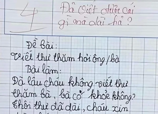 Bài tập làm có pha "bẻ lái" bị chấm dưới điểm trung bình, cô giáo không kìm được phải phê thêm 8 chữ