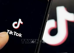 TikTok cho phép người dùng Android tại Mỹ tải ứng dụng qua website