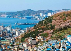 Mở đường bay thẳng Nha Trang Busan từ 1-6