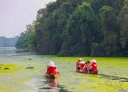 Đồng Tháp Mười đầy sức sống những ngày đầu xuân