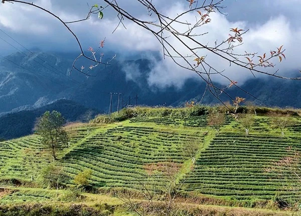 Lịch trình săn mây Sa Pa 2N1Đ: "Chill hết nấc" trong khung cảnh "sương khói mờ nhân ảnh"