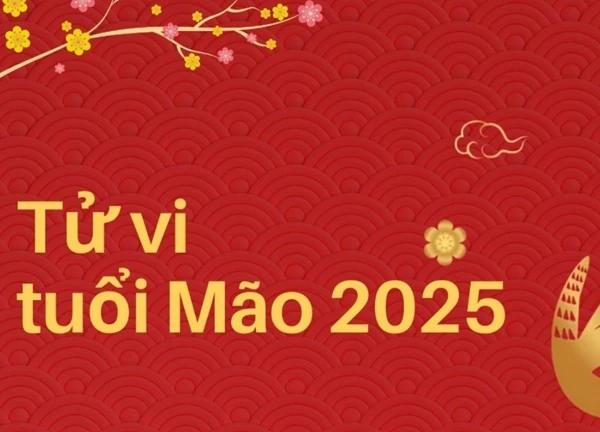 Dự báo vận khí con giáp tuổi Mão năm 2025 Ất Tỵ - năm đầu tiên của Tam Tai theo từng tháng, từng tuổi