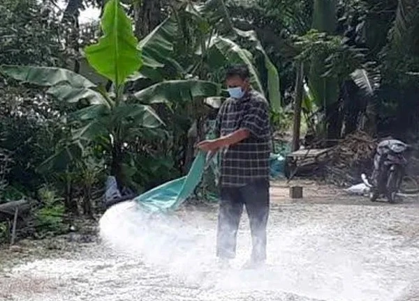 Huế tăng cường công tác phòng, chống dịch bệnh Cúm gia cầm