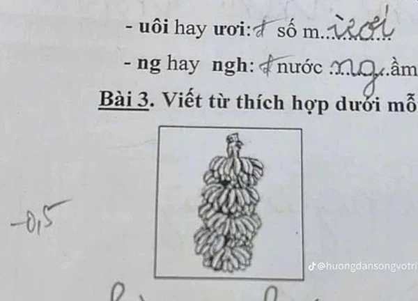 Chấm bài học sinh lớp 1, giáo viên vội vàng tìm thuốc đau đầu để uống: Gen Alpha cỡ này, Gen Z không có tuổi!