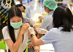 Thái Lan tăng cường kiểm soát khi virus H5N1 lây sang động vật có vú