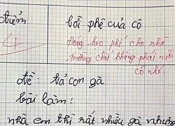 Bài văn tả gà của học sinh lớp 3 bị cô giáo cho 4 điểm và nhận xét cực gắt, dân mạng đọc thử rồi tranh cãi ầm ĩ