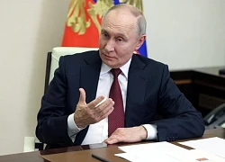 Ông Putin nêu khả năng cùng Mỹ khai thác đất hiếm, mở cửa dự hòa đàm cho châu Âu