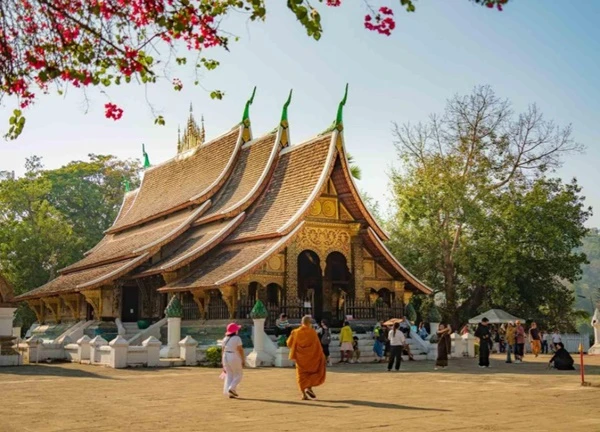 Thăm chùa cổ Wat Xieng Thong ở Luang Prabang