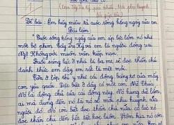 Bài văn tả cuộc sống hàng ngày của học sinh lớp 3 bị chấm 1 điểm: Cô giáo đọc xong "tái mặt", yêu cầu mời phụ huynh lên gặp