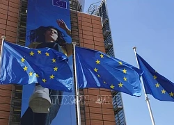 EU tự tin có biện pháp đáp trả nếu ông Trump áp thuế mới