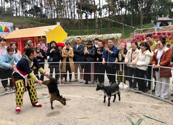 Lào Cai: 2 tháng đầu năm đón hơn 2 triệu lượt du khách