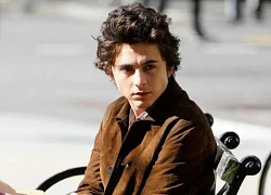 Timothée Chalamet liệu có thể chạm tay tới tượng vàng Oscar?