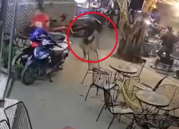 Bắt đối tượng hành hung thiếu niên tại quán cà phê ở Đồng Nai