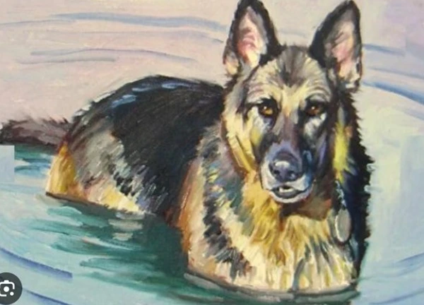 Tử vi tuần mới: Top 4 con giáp gặt hái được thành quả lớn, tiền về đầy túi, tình ngập đầy tim