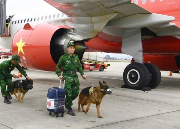 Khoảnh khắc tự hào: 2 máy bay chở lực lượng cứu hộ Việt Nam và 60 tấn hàng cứu trợ đã hạ cánh tại Myanmar