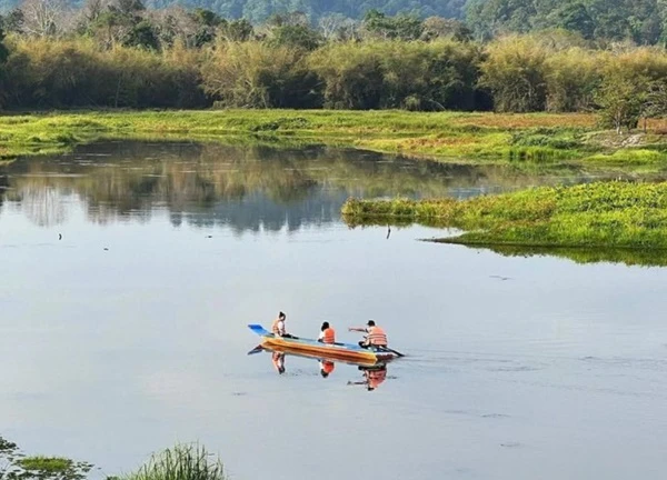 Đón ban mai giữa thiên nhiên Bàu Sấu