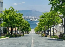 Hakodate - Sức hút của thành phố cảng xinh đẹp