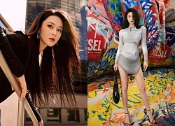 Từng bị cả showbiz 'quay lưng', Trương Hinh Dư lội ngược dòng ngoạn mục