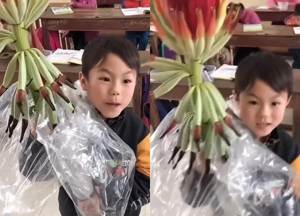 Cô giáo số hưởng nhất ngày 8/3 được học trò tặng quà siêu hiếm và lời chúc có 1-0-2: "Chúc cô đẹp như bông hoa chuối!"