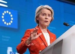 EC công bố Lộ trình quyền của phụ nữ và Báo cáo bình đẳng giới năm 2025