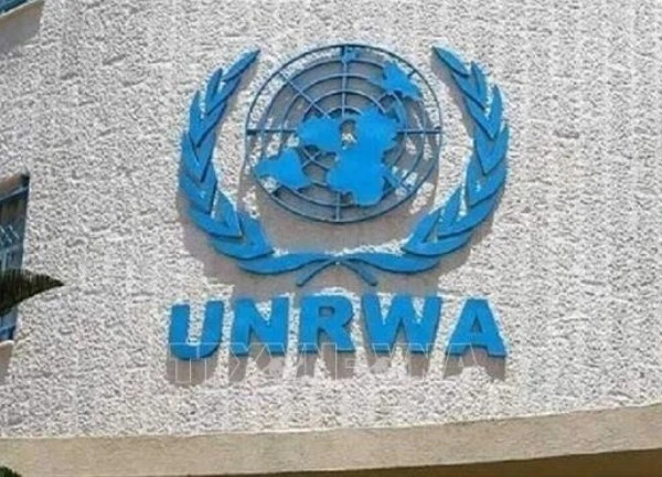 Cảnh báo tác động khi UNRWA ngừng hoạt động đối với trẻ em Palestine