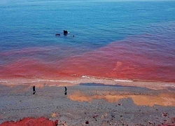 Iran: Bãi biển đảo Hormuz chuyển màu đỏ tươi sau cơn mưa nặng hạt