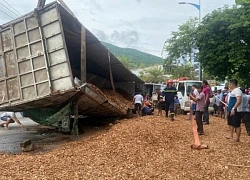 Vụ lật xe tải khiến 3 người tử vong ở Bình Định: Bắt giam tài xế