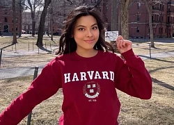 1 Á hậu Vbiz bị soi điểm kỳ lạ khi khoe chuyện đậu Đại học Harvard, đoạn clip 17 giây bùng tranh cãi dữ dội