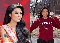 Á hậu Vbiz bị nghi mập mờ chuyện đỗ Harvard, từng nhận "gạch đá" vì ủng hộ phụ nữ làm sugar baby