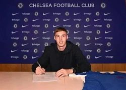 Cole Palmer thừa nhận không muốn ký hợp đồng với Chelsea