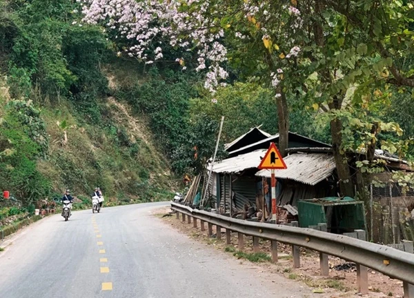 Lịch trình 3N4Đ du lịch Điện Biên: Ngắm hoa ban, chinh phục cực Tây Tổ quốc chỉ với hơn 2,8 triệu