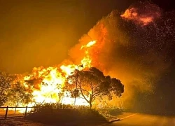 Nguy cơ cao xảy ra cháy rừng ở bang New South Wales (Australia) do sóng nhiệt