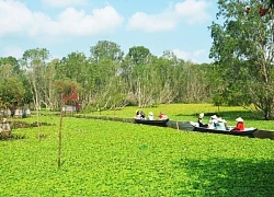 An Giang phát triển du lịch