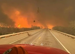 Cháy rừng lan rộng tại Texas, Mỹ