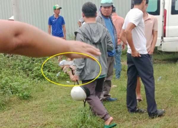 Người bị trâu mẹ húc khi đi chích điện bắt ếch ở TPHCM bị phạt 3 triệu đồng
