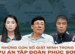 Những con số giật mình trong vụ án Tập đoàn Phúc Sơn