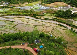 Ruộng bậc thang được bình chọn vào 'Top 7 Ấn tượng Việt Nam' ở Kon Tum