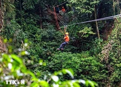 Trải nghiệm đu dây qua hố sụt Ác Mộng tại Vườn Quốc gia Phong Nha-Kẻ Bàng