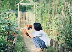 Admin nhóm Nghiện Nhà chính thức lên tiếng về 1 bài đăng kể chuyện "bỏ phố về Hội An" gây ra phản ứng dữ dội