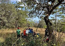 Đến Lâm Đồng trekking, cắm trại trên núi Lomburr