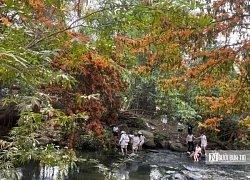 Hàng ngàn du khách đổ về suối Tà Má thưởng ngoạn hoa trang