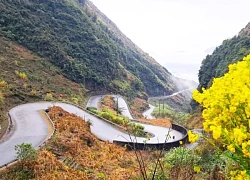 Sắc mới trên cao nguyên đá Hà Giang