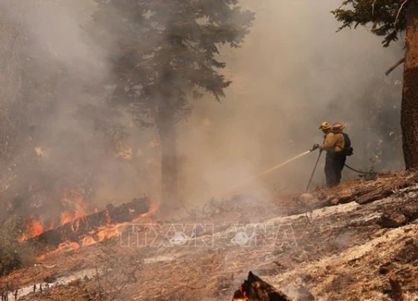 Nhiều hạt ở bang California (Mỹ) phải sơ tán do cháy rừng