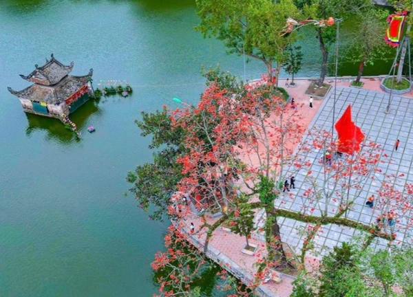 Rực rỡ sắc đỏ hoa gạo ở ngôi chùa cổ ngoại thành Hà Nội
