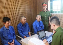Chiêu trò trục lợi qua công ty "ma"