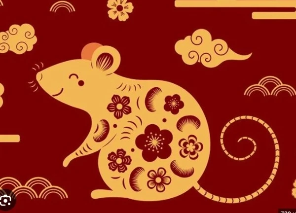 Tử vi 12 con giáp hôm nay 29/4: Tý tiến triển, Dần vận trình hanh thông