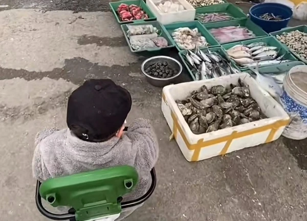 Con muốn đi thủy cung, mẹ đưa đến nơi không ai ngờ, người chê "thế hệ cợt nhả làm mẹ", người khen "dạy con hay"