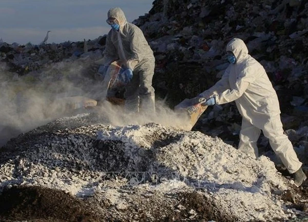Mexico ghi nhận ca tử vong đầu tiên ở người do virus cúm gia cầm H5N1