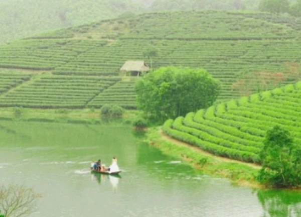 Đổi gió đến đồi chè "sắm ảnh", đảm bảo không chỉ có ảnh đẹp mang về mà còn có thể tận hưởng không khí trong lành hiếm có