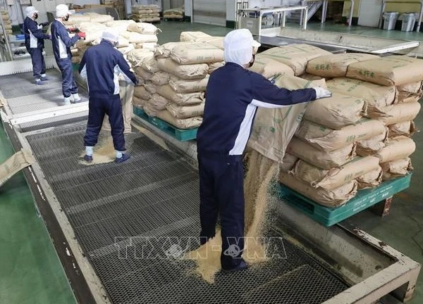 Giá gạo tại Nhật Bản lập đỉnh mới